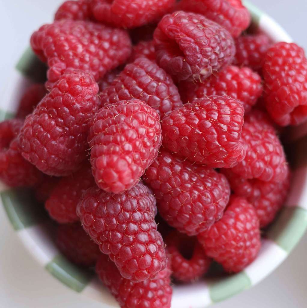 image of food item